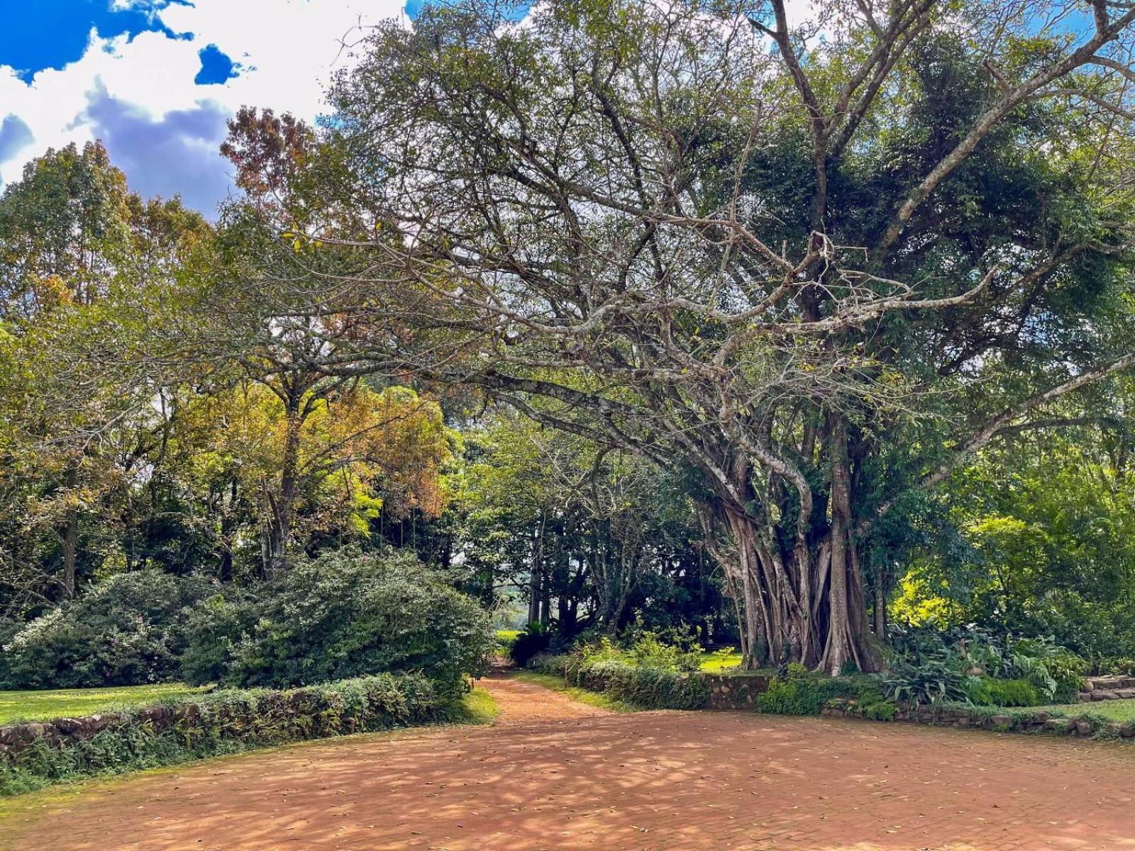 Huntingdon House And Chawani Bungalow チョロ県 エクステリア 写真