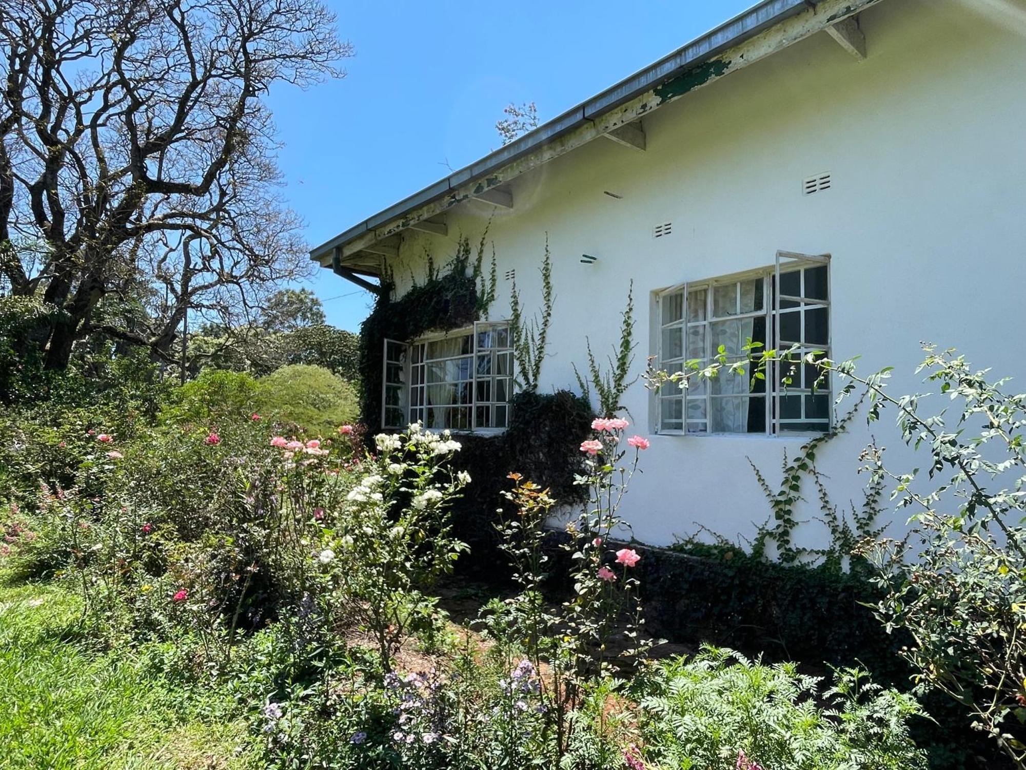 Huntingdon House And Chawani Bungalow チョロ県 エクステリア 写真